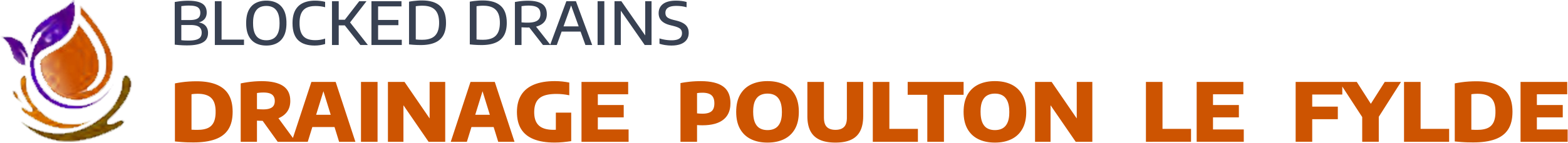 website logo